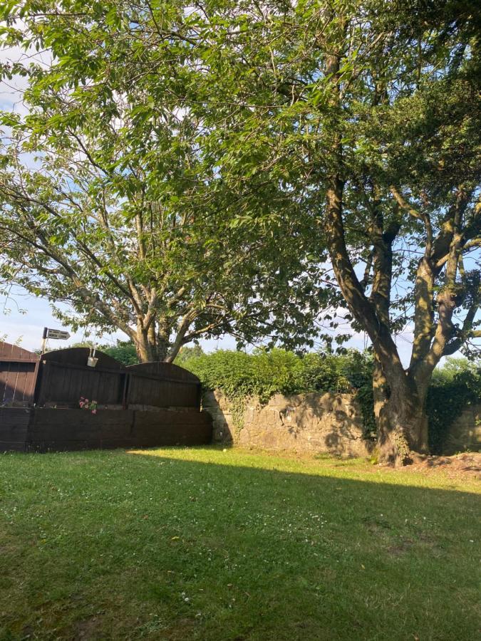 North Lodge Self Contained Guest Accommodations Kilkea ภายนอก รูปภาพ