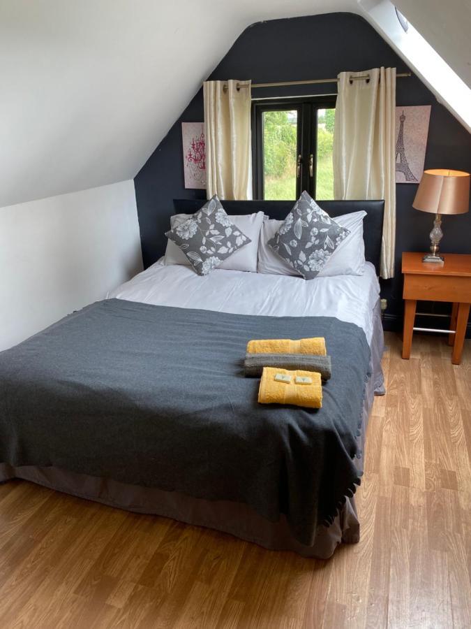 North Lodge Self Contained Guest Accommodations Kilkea ภายนอก รูปภาพ