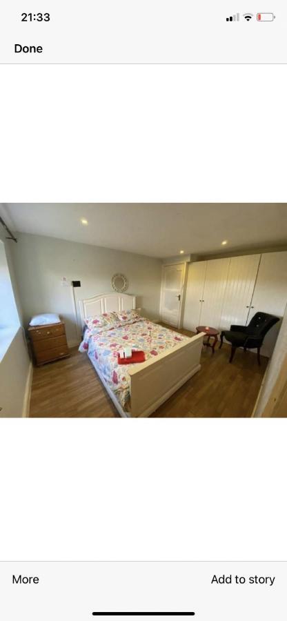 North Lodge Self Contained Guest Accommodations Kilkea ภายนอก รูปภาพ