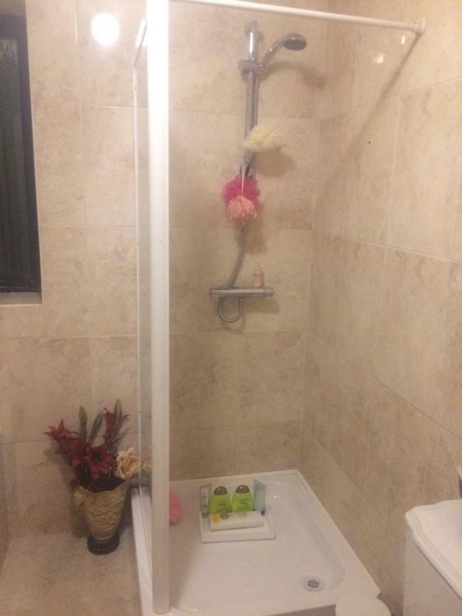 North Lodge Self Contained Guest Accommodations Kilkea ภายนอก รูปภาพ