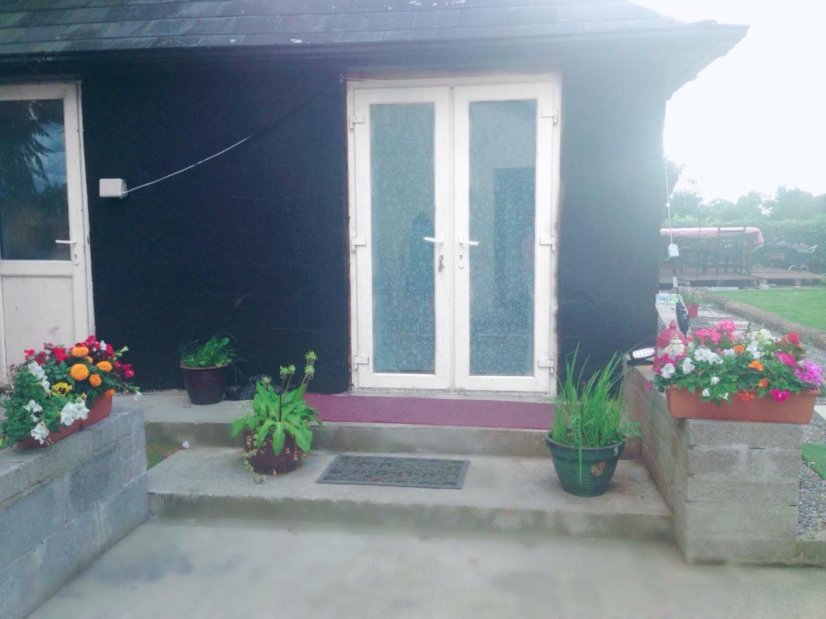 North Lodge Self Contained Guest Accommodations Kilkea ภายนอก รูปภาพ