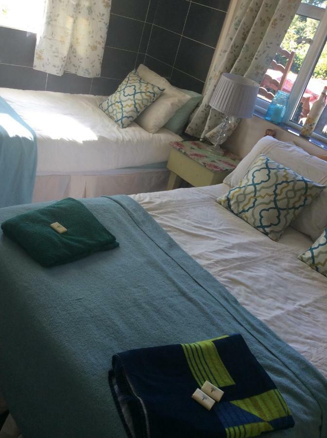 North Lodge Self Contained Guest Accommodations Kilkea ภายนอก รูปภาพ
