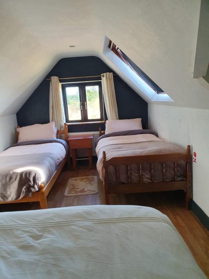 North Lodge Self Contained Guest Accommodations Kilkea ภายนอก รูปภาพ